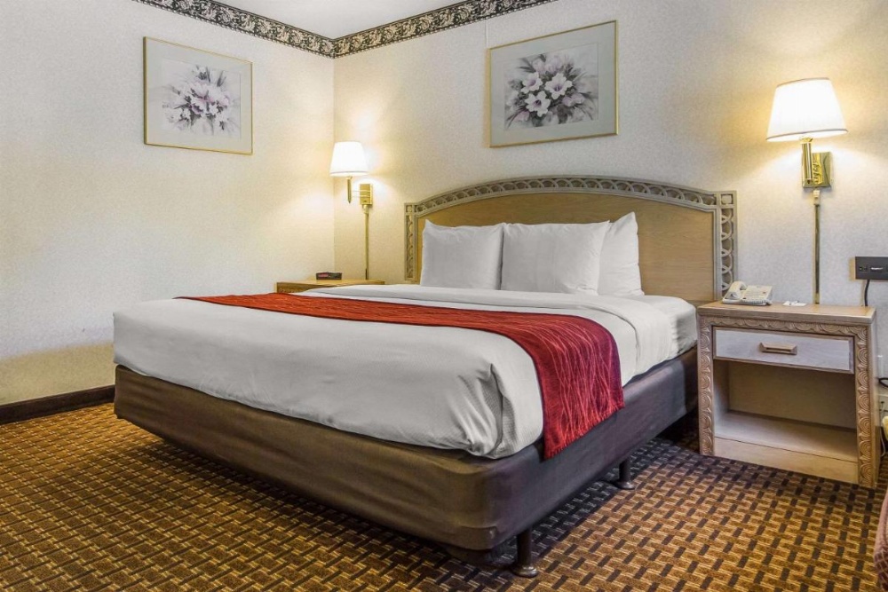 Comfort Inn Palo Alto Image 18
